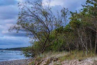 2024年中国小学生国际象棋训练营在浙江兰溪开幕，532名棋手参赛，小学者国际象棋启蒙篇下载